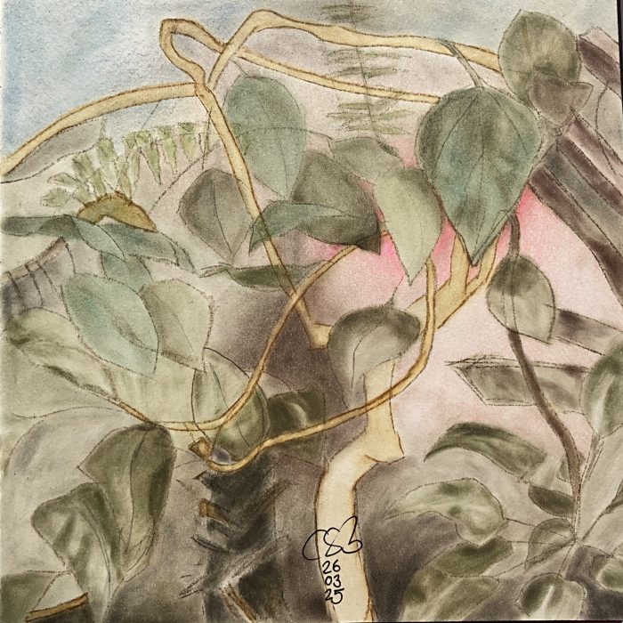 Mixed Media auf Papier | 2025 | 20 x 20